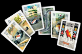 Turbo: Wyboiste drogi